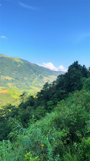 Nws yeej yog li koj hais — Hmong TikTok caption explained