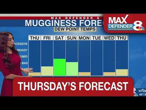 Dry & warm Thursday afternoon in Tampa Bay