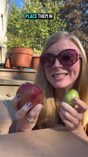 How To Ripen Green Tomatoes Fast
