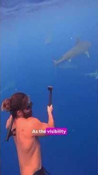 Saving sharks, marine life and their habitat. #Mandy🦈💙