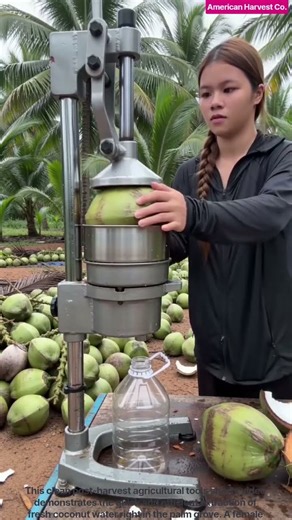🥥 Manual Coconut Water Extraction Machine Skill 🌴 | Smart Agritech#shorts