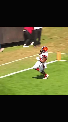 Which was the best? #nfl #football #sports #fyp #americanfootball | Football Touchdowns