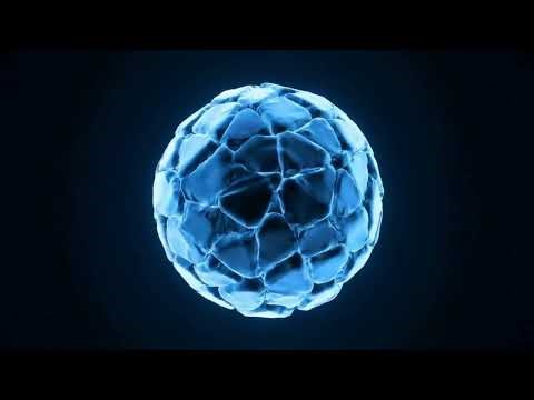 Viruses Explained: The Truth About DNA's Deadliest Enemy