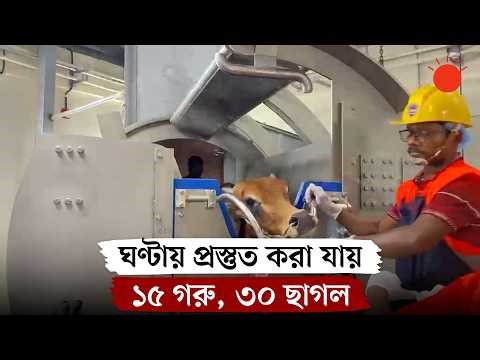 বগুড়ায় ১১ কোটির আধুনিক কসাইখানা | Bogura | News | Prothom Alo
