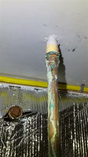 Jobs with Adam: Active Water Leak Observed Near Sump Pump