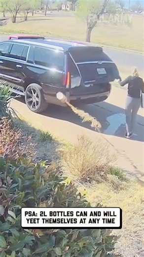 How Does This Happen?