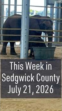 Find out what happened in Sedgwick County this week-August 21, 2026
