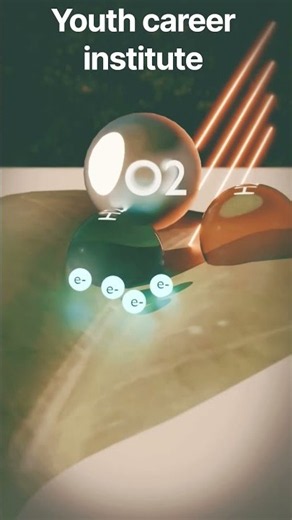 Photosynthesis Explained in 3D Animation | Plant Biology