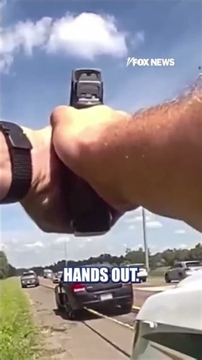 Police deploy GRAPPLER to END highway chase #shorts #us #police #grappler #policechase