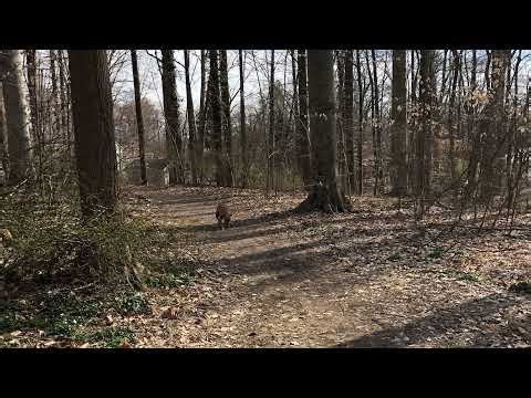 Stranded Deep - part 20