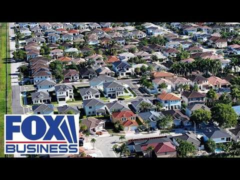 The numbers HIDE the real story: Dolly Lenz Real Estate CEO