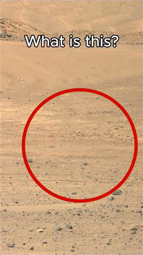 Live From Mars: Perseverance Rover's Latest View