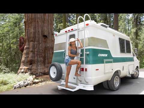 Solo Van Life in the Land of Giants... But I Wasn't Alone Out There (Sequoia National Park)