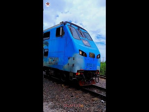 Epic Amtrak Action | Fast Trains & Amazing Views You’ll Ever See!