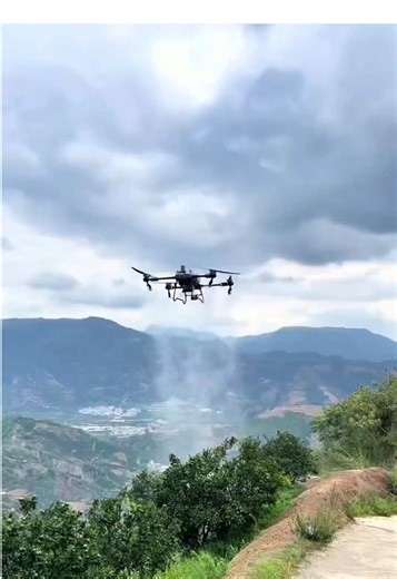 Cover 100 mu of land in one operation! DJI Agriculture Drone is the profit-making magic weapon for farmers#agriculturaldrone #djidrone #djidronet50 #dji #djiagriculturaldrone