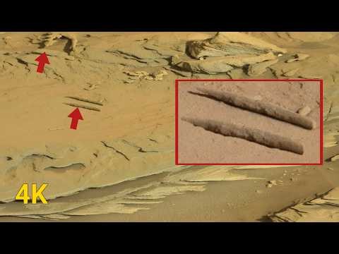 NASA’s Mars Rover Just Revealed Sensational View On Mars! Latest Images Captured Perseverance Rover