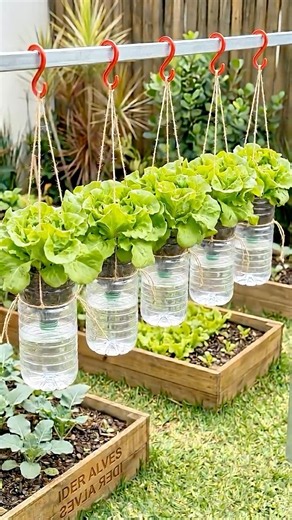 DIY Save Space With This Recycled Bottle Garden Idea