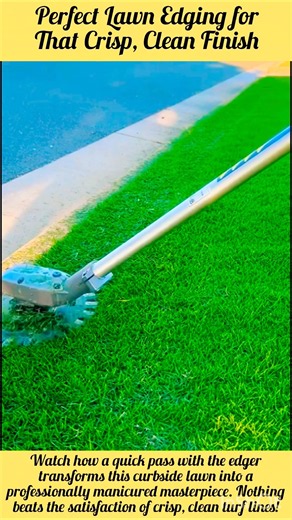 Perfect Lawn Edging for That Crisp, Clean Finish