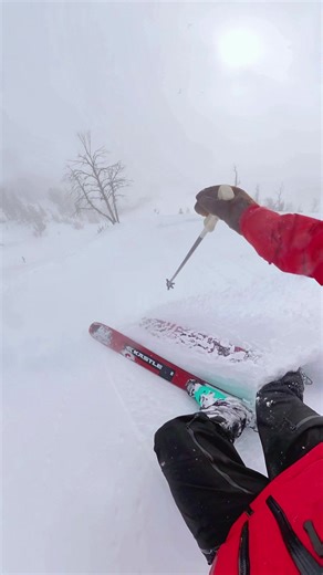 Skiing in Fresh Snow at Jackson Hole Mountain Resort