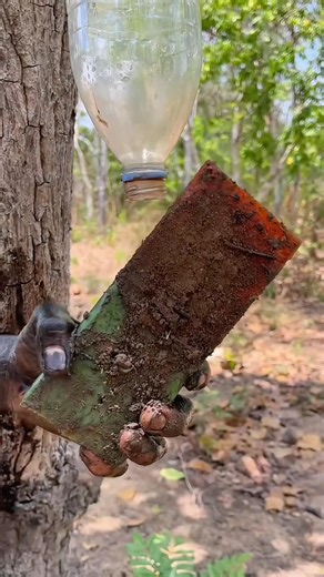 Survival Skills: SMART idea and USEFUL #bushcraft#camping#outdoors#survival