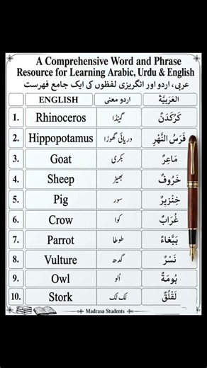 Arabic #shorts #tranding #vairal