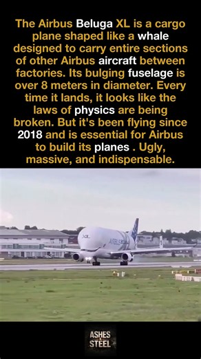 Watching the Airbus Beluga XL Land Never Gets Old