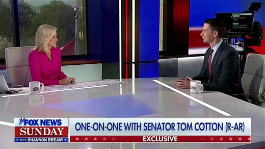 Sen. Tom Cotton (R-AK) on Senate Democrats holding US travelers hostage: “Democrats are using long TSA lines to throw a temper tantrum about deportations of violent criminal illegal aliens.”That’s why Dems don’t want ICE helping TSA shorten lines.