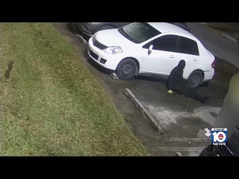 Video shows security guard fight off 2 in Miami-Dade