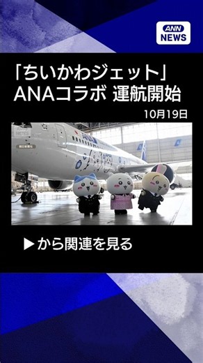 【ニュース】ANAコラボ「ちいかわジェット」運航開始 機体に「ハチワレ」「うさぎ」など8種 #shorts