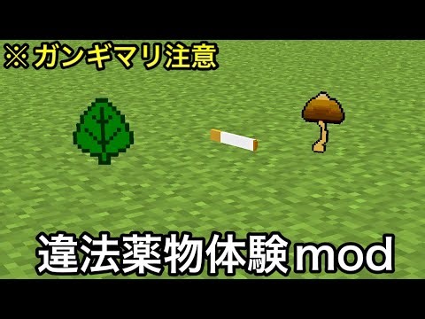 【マイクラ】海外で作られた意味不明すぎるMod3選.. 〜何故作られたか理解できない謎MODが妙にクオリティ高い件〜【マインクラフト】【まいくら】【検証】