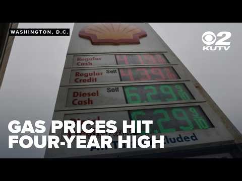 Gas prices reach four-year high as Iran war drives economic strain