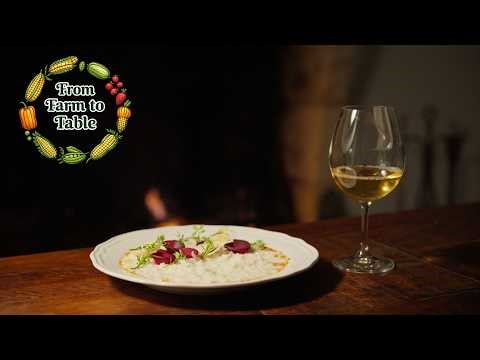 A Time for Wine | From Farm to Table (China-France Season)