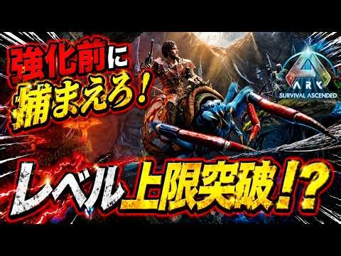 【ARK ASA】上限突破個体の最強アラネオ厳選テイム！強化前に確保する！