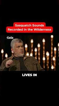 Analyzing Sasquatch Communication Patterns