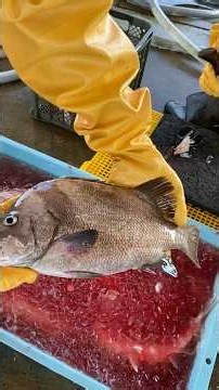 連休のうお一番は地魚祭り‼️ #うお一番 #海鮮好き #市場