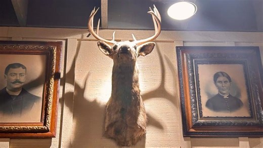 Our Spring Break Vacation in Austin, Texas | Mario Rodriguez