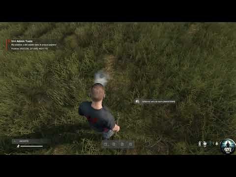 #dayz #dayzstandalone #dayzgameplay Présentation de DayzAideManager - Chapitre 4
