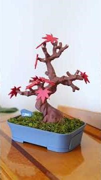 10 Most Popular Plant 3D Prints