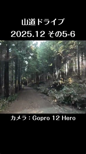 山道ドライブ 2025.12（その5-6）/ Mountain Driving #森林作業道 #林業