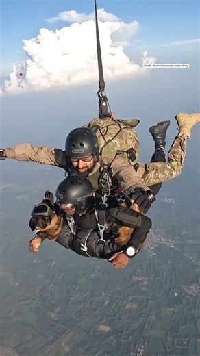 Indian Army Combat Dog Makes First Ever Plane Jump With Handler | N18G