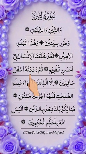 Surah At-Tin 🤍 | The Best Form of Creation | Beautiful Quran Recitation