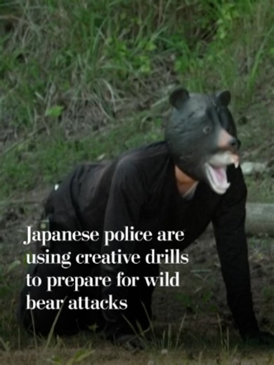 Police, hunters, and local governments in Japan are simulating emergency bear drills after a recent rise in wild black bear sightings. Repeated sightings of a black bear near the city of Utsunomiya led to the closure of nearly 100 local public schools. The emergency drills involve a local government official dressing up in a costume and bear mask and being strategically subdued by drill participants. Read more from The Washington Post at the link in our bio. #japan #animals