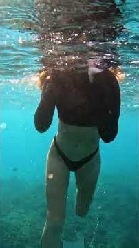 our shark encounter was crazy
