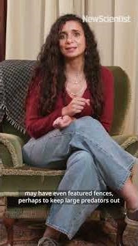 The first homes built by human hands 🏠