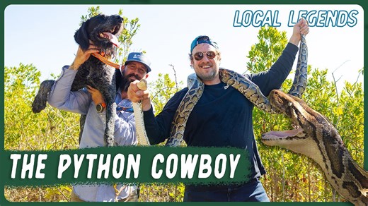 Catch a giant python in the Florida Everglades with experts