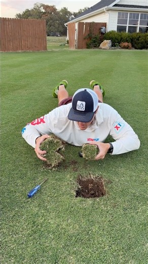Interesting Things in the Lawn