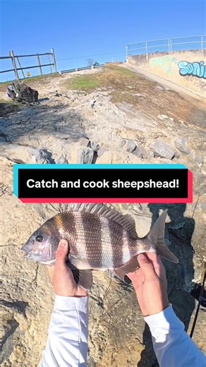 Catch and cook! #fishing #fishingvideos #catchcleanandcook #fish #fishon