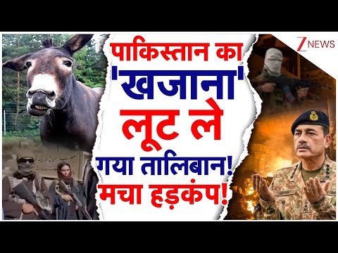 Taliban Attacks on Pakistan: तालिबान ने लूट लिए Munir के ‘गधे’! TTP का चैलेंज बचा सको तो बचा लो