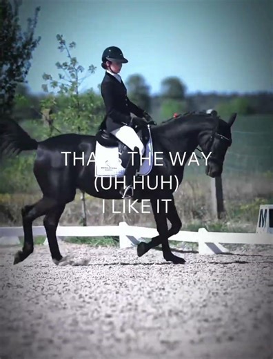 proof you dont need a flash or double bridle 🤭 #fypシ #horse #capcut #edit #equestrian #dressage