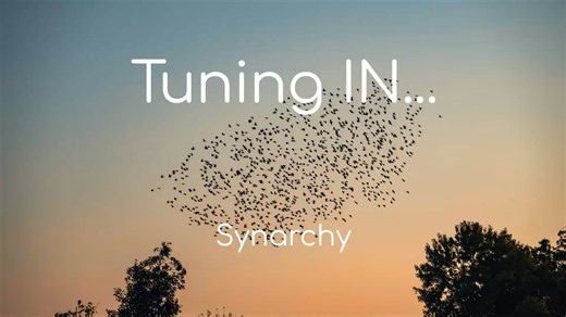 Tuning IN...Gene Key 44 Interference to Synarchy through Teamwork